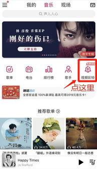 印尼巴士模拟器国产车辆模组 