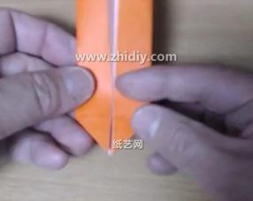 训狗教程大全 