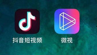 看鉴微视频 